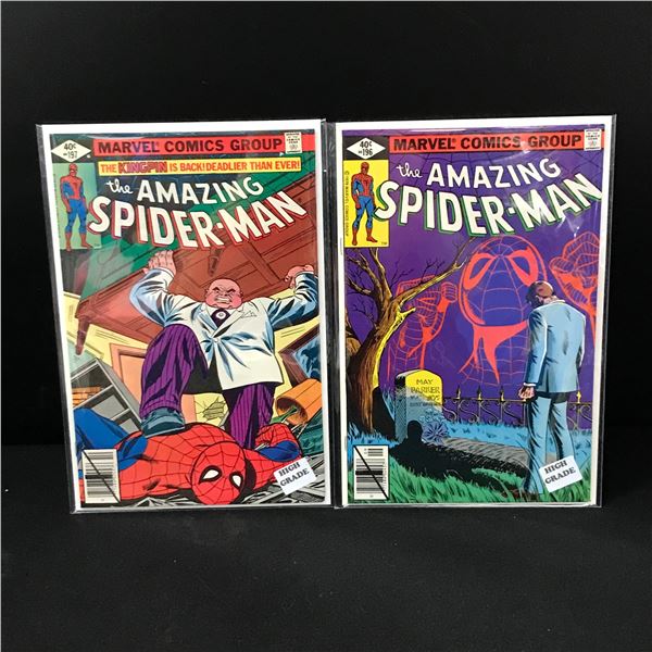 LOT OF 2 AMAZING SPIDERMAN COMICS #196 AND #197 (MARVEL COMICS)