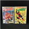 Image 1 : LOT OF 2 DAREDEVIL COMICS #189 AND #1191 (MARVEL COMICS)