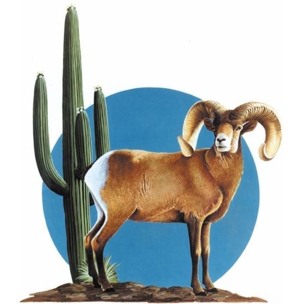 ARIZONA DESERT BIGHORN SHEEP SOCIETY LIFE MEMBERSHIP