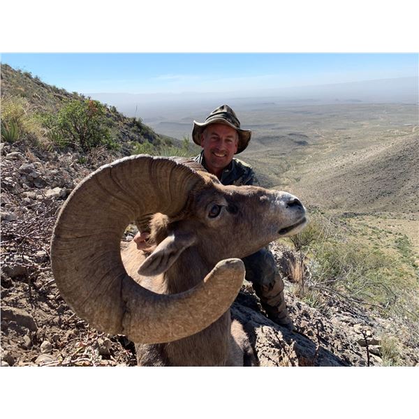 LA PALMOSA, MEXICO DESERT BIGHORN SHEEP HUNT