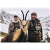Image 4 : IBERIAN MOUFLON SHEEP HUNT IN SPAIN