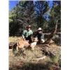 Image 6 : ARIZONA MOUNTAIN LION HUNT W/ HOUNDS
