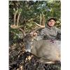 Image 1 : ARCHERY KANSAS TROPHY WHITETAIL HUNT AND SCHEELS OF CHANDLERS $500 GIFT CARD