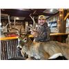 Image 3 : ARCHERY KANSAS TROPHY WHITETAIL HUNT AND SCHEELS OF CHANDLERS $500 GIFT CARD