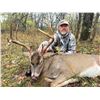 Image 4 : ARCHERY KANSAS TROPHY WHITETAIL HUNT AND SCHEELS OF CHANDLERS $500 GIFT CARD