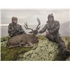 Image 2 : OREGON COLUMBIAN BLACKTAIL DEER HUNT