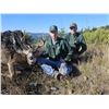Image 3 : OREGON COLUMBIAN BLACKTAIL DEER HUNT