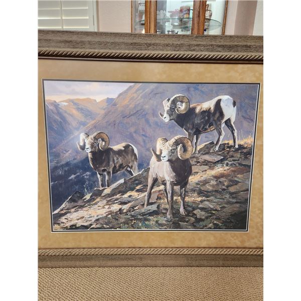 BIGHORN BACHELOR RAMS 32" X 44" FRAMED PRINT by KEN CARLSON