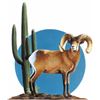 Image 1 : FULL BODY DESERT BIGHORN SHEEP RAM CAPE