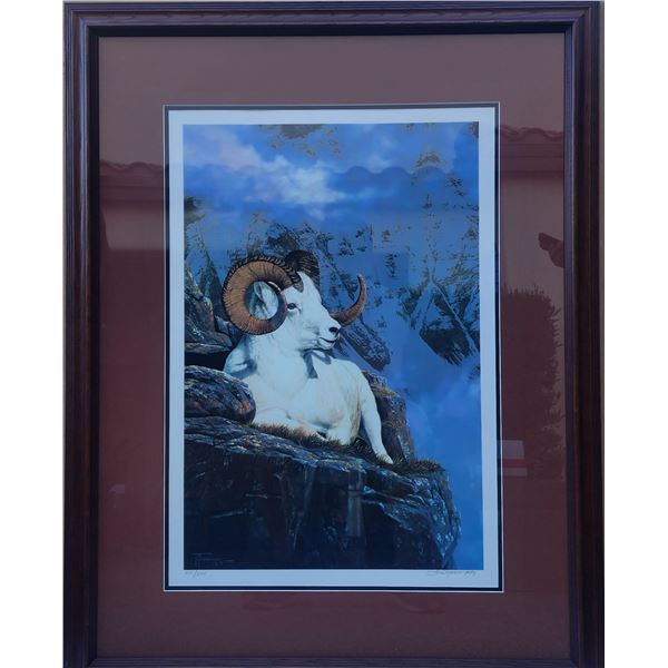 Dall Sheep framed print 28" X 36"   by Tom Mansanarez 271/500