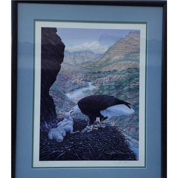 Bald Eagle w/ Chicks (as in birds) 21" X 25" framed print 251/500 by Richard Sloan