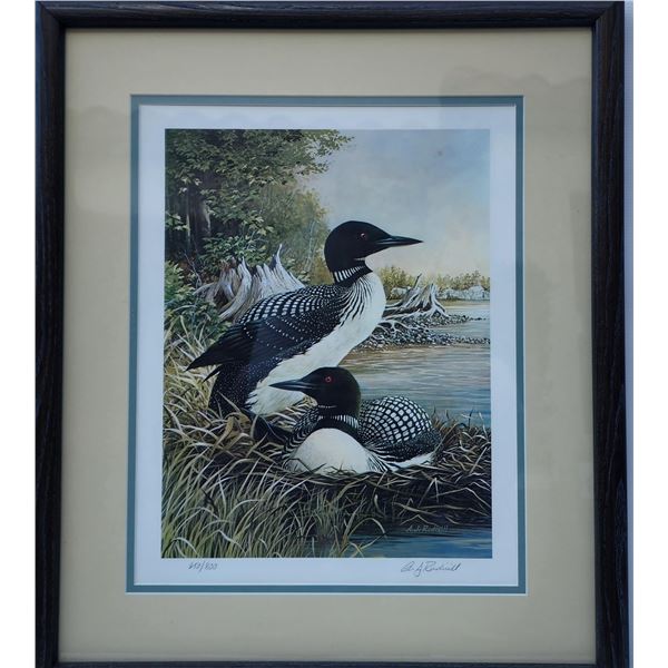 Framed Print of Loons 18" X 21" by AJ Rudisill 650/800