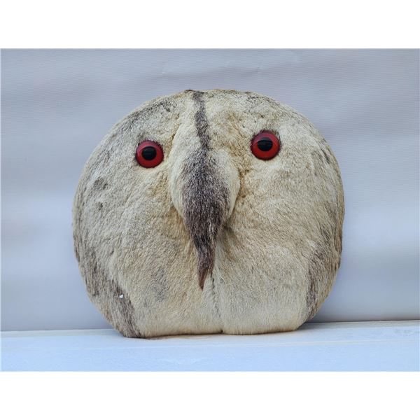 Rocky Mountain Rump on Wall w/ Owl Eyes