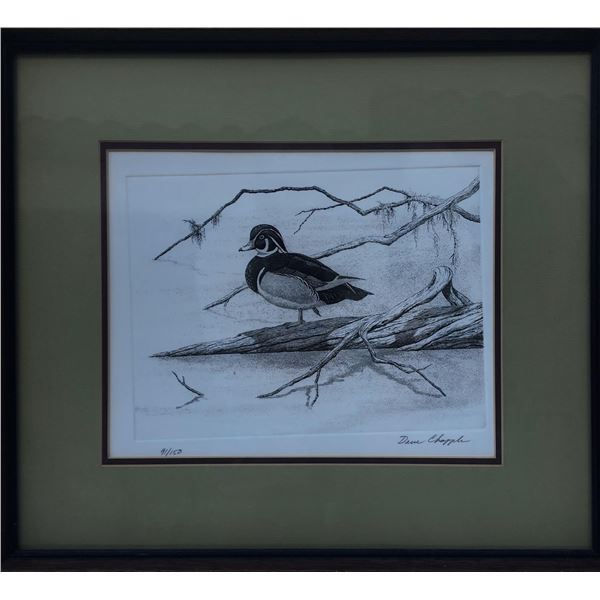 Framed Penciled Wood Duck 18" X 20" by Dave Chapple 91/150