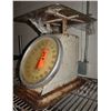 Image 1 : Detecto Weight Scale to 95 lbs.