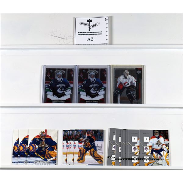 Roberto Luongo w RC Lot