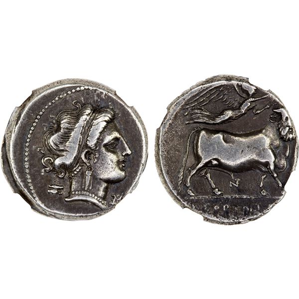 CAMPANIA: Neapolis, AR nomos (didrachm) (7.32g), ca. 300-275 BC, NGC VF
