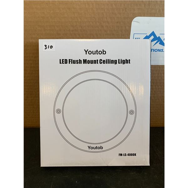 Youtob LED Flush Mount Ceiling Light Fm-Ls-4000K