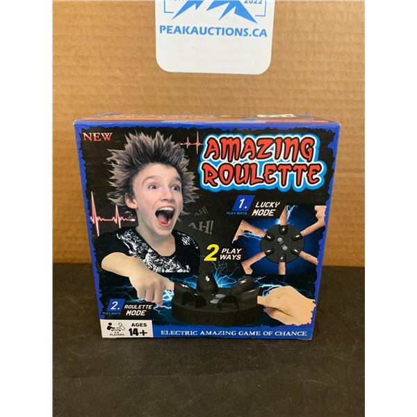 Amazing Roulette Game of Chance Game Ages 14 +