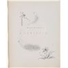 Image 2 : An Original "Fantasia" Program.