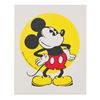 Image 6 : A Disney Character Sticker Collection.