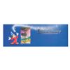 Image 2 : A Euro Disneyland Commemorative Passport.