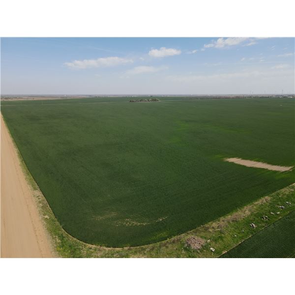 160 +/- Acres of Pratt Co Dryland