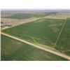 Image 1 : 80 +/- Acres of Pratt Co, KS Dryland