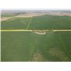 Image 2 : 80 +/- Acres of Pratt Co, KS Dryland