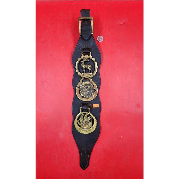 Leather Strap Horse Brasses