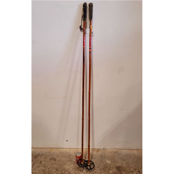 VTG Wooden Ski Poles