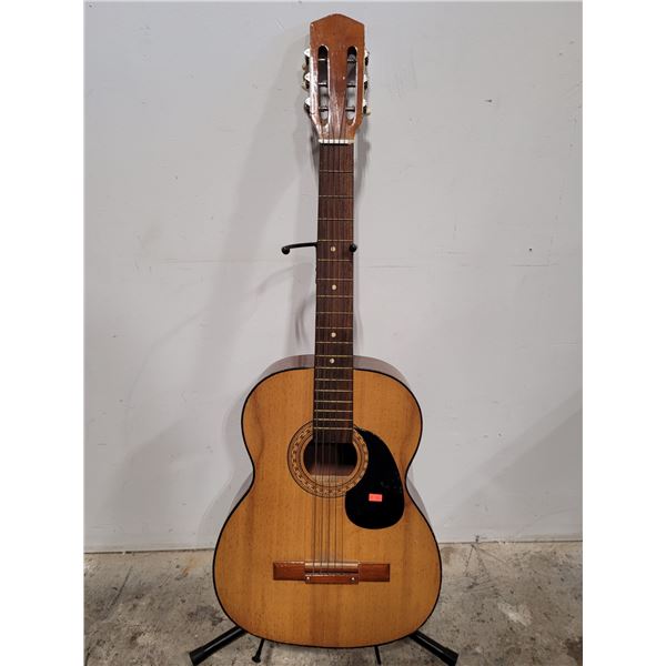 Acoustic Guitar