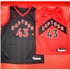 Image 1 : 2 Toronto Raptors Jerseys