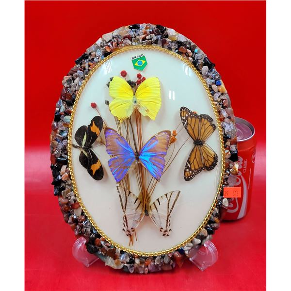 Butterfly Taxidermy w/ Stone Frame