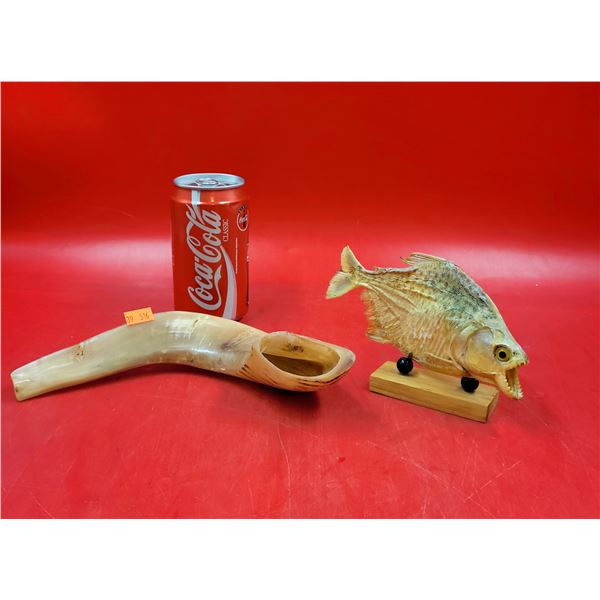 Shofar/Ram's Horn & Piranha Taxidermy