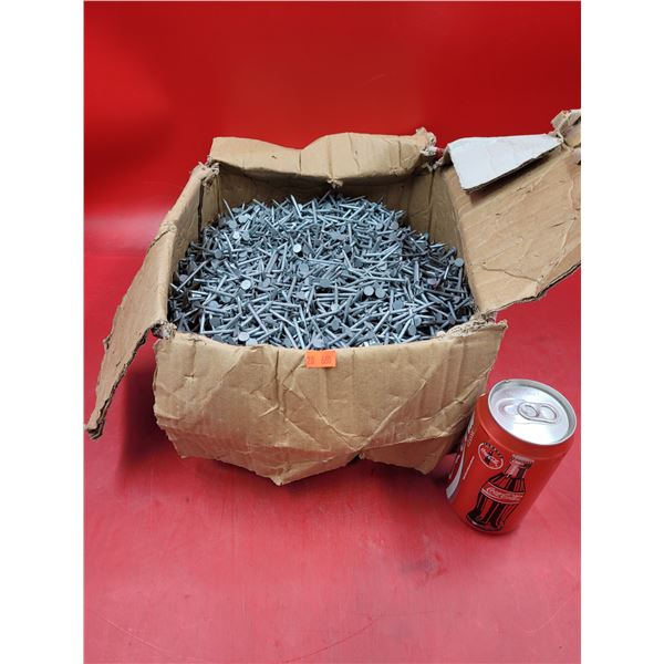 Roofing Nail Lot