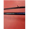 Image 3 : Daiwa Fishing Rod w/ Reel