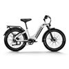 Image 1 : Himiway D5 Zebra Step Thru All Terrain Electric Bike