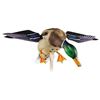 Image 1 : AVIAN X POWERFLIGHT SPINNING WING MALLARD DECOY