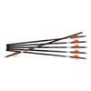 Image 1 : RAVIN ARROWS 500GR HD 6PK .001