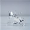 Image 4 : Swarovski Crystal Figurine, Butterfly on Leaf with Box