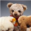 Image 2 : 3pc Steiff Bear Lot with Two Jointed Bears