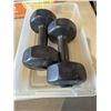 Image 1 : Weider 5 lbs weights
