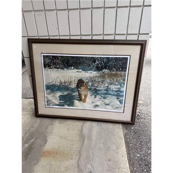 Powder trails by Richard some water damage