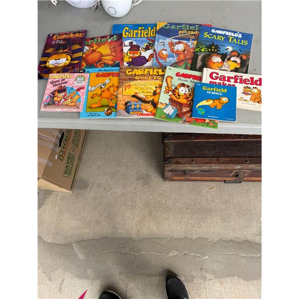 Garfield books