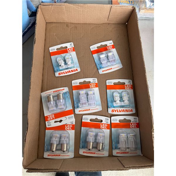 Cool, white LED lights