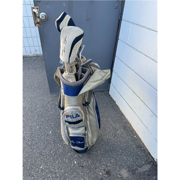 Golf clubs in bag