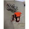 Image 1 : BC Lions collectible