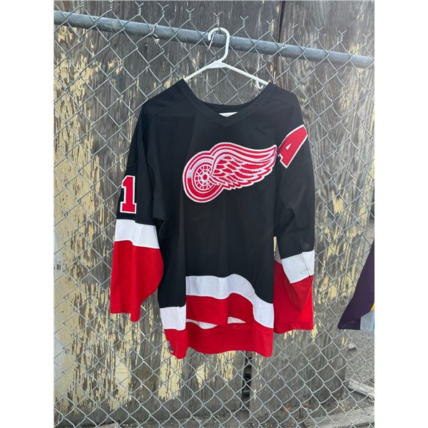 Fedorov, Detroit Red Wings jersey