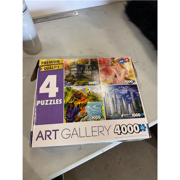 Art gallery puzzle